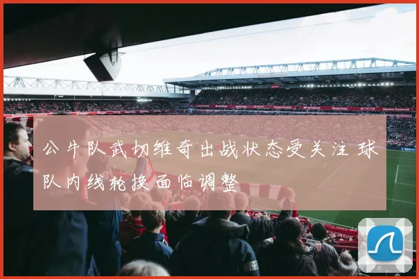 公牛队武切维奇出战状态受关注 球队内线轮换面临调整