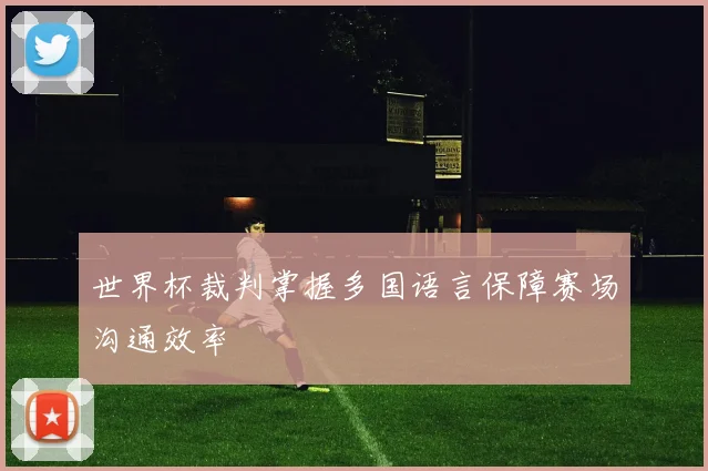 世界杯裁判掌握多国语言保障赛场沟通效率